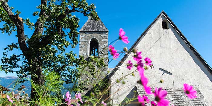 Erfrischende Sommerdüfte